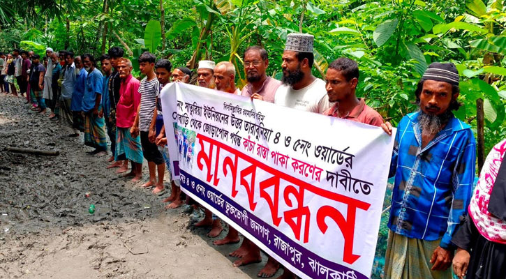 রাজাপুরে কাঁচা রাস্তা পাকাকরণের দাবিতে কচুগাছ রোপণ করে অভিনব প্রতিবাদ