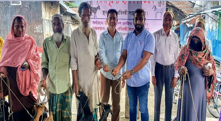 দুস্থ ও প্রতিবন্ধীদের মাঝে বিনামূল্যে ছগল বিতরণ