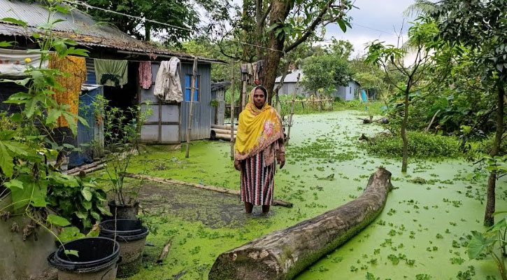 সোনারগাঁয়ে পানিবন্দি ৪০ হাজার পরিবার 