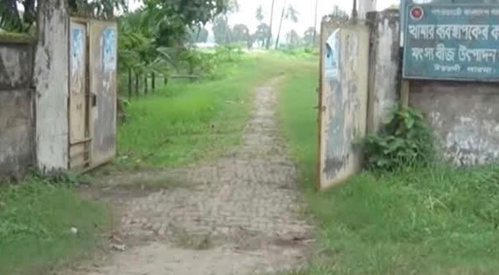 মাছ চাষে মুরগির বিষ্ঠা, বাড়াচ্ছে স্বাস্থ্য ঝুঁকি