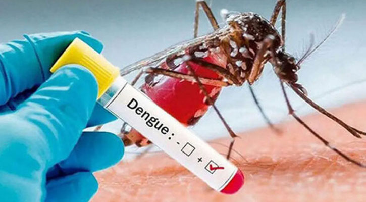 সরকারি হাসপাতালে বিনামূল্যে ডেঙ্গু পরীক্ষা