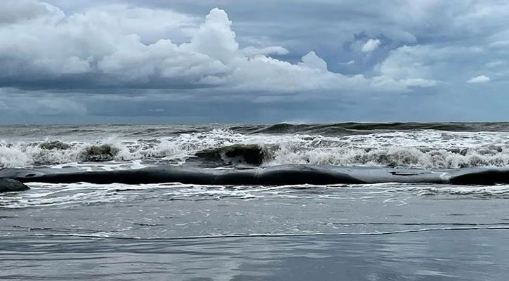 আগামী ২৪ ঘণ্টার মধ্যে লঘুচাপ সৃষ্টির আভাস