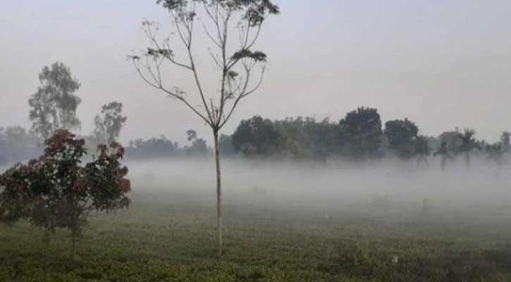 পঞ্চগড়ে তাপমাত্রা নামল ১২ ডিগ্রিতে