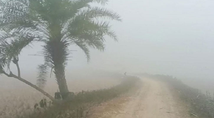 কাঁপছে তেঁতুলিয়া, তাপমাত্রা নেমে ১১ ডিগ্রিতে