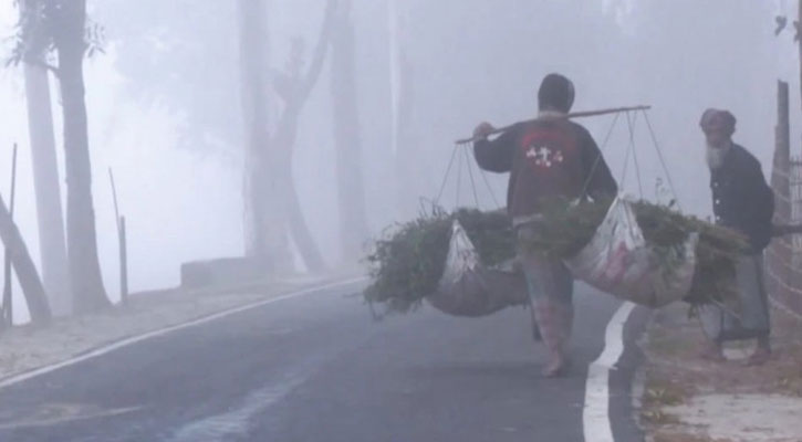 উত্তরে তীব্র শীত, তেঁতুলিয়ায় তাপমাত্রা ৭.৭ ডিগ্রি