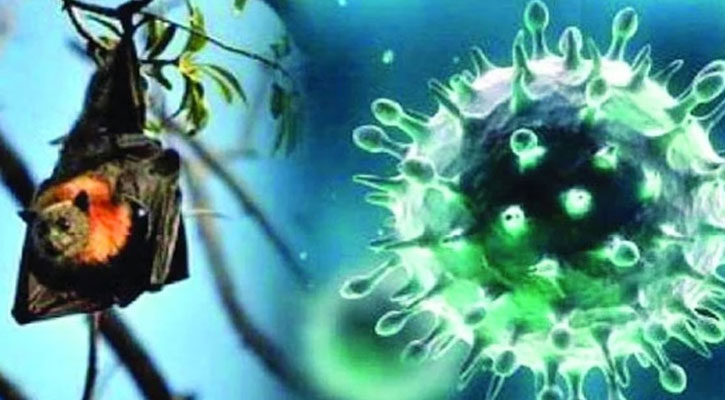 নিপাহর মতো আরেক ভাইরাস বাংলাদেশে প্রাণঘাতী হয়ে উঠছে