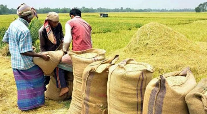 বোরো মৌসুমে ধান-চাল সংগ্রহের মূল্য নির্ধারণ