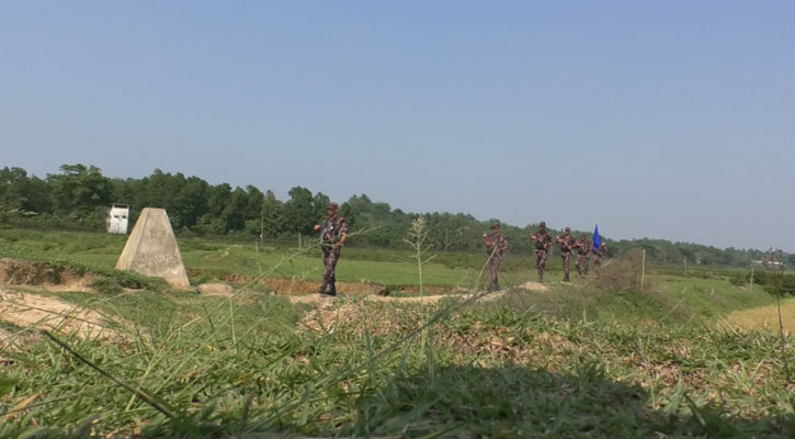 ভারতীয় গরু প্রবেশ ঠেকাতে সতর্ক অবস্থানে বিজিবি
