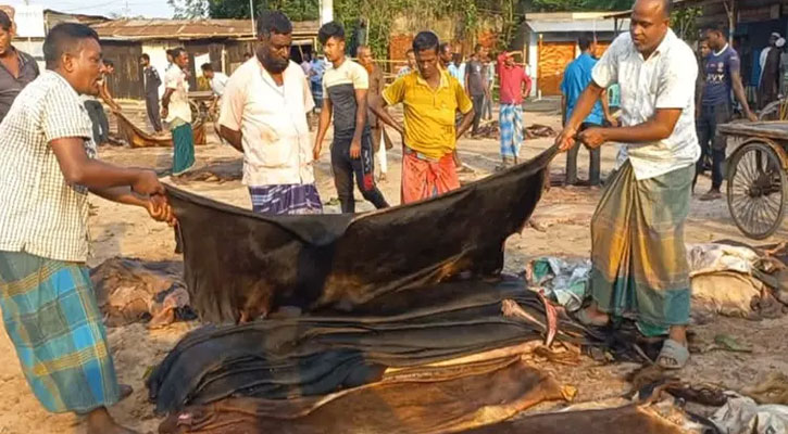 এবারও চামড়া নিয়ে হতাশ মৌসুমি ব্যবসায়ীরা