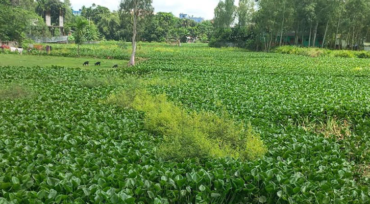 লালমনিরহাটে ১৬ নদীর ১৪টিই অস্তিত্ব সংকটে