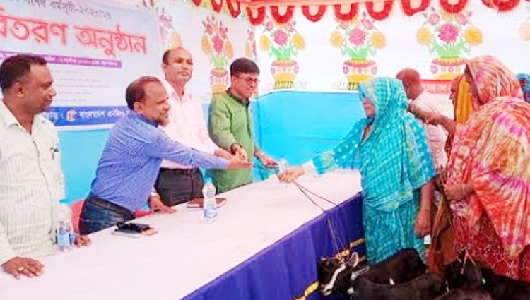 নান্দাইলে হতদরিদ্র নারীদের মাঝে ছাগল বিতরণ 