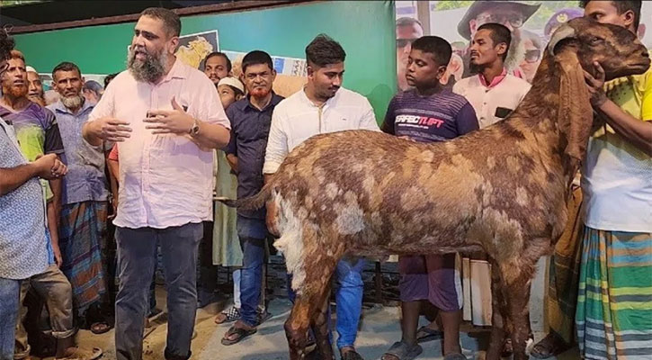 ছাগলকাণ্ডে এবার ফেঁসে যাচ্ছেন সাদেক এগ্রোর মালিক নিজেই