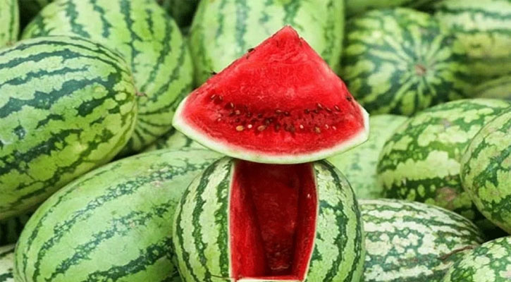 ১৫০ টাকায় মিলবে তরমুজ