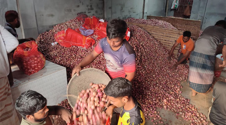 ভারত থেকে আমদানির খবরে পাবনায় পেঁয়াজ বাজারে ধস