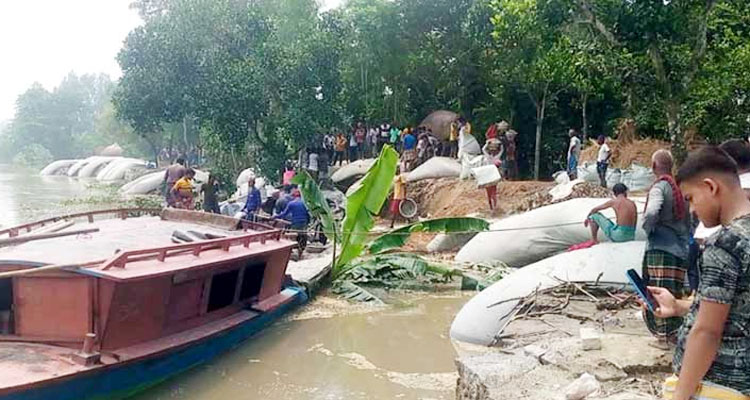 আবারও যমুনায় ভাঙন, দিশেহারা মানুষ