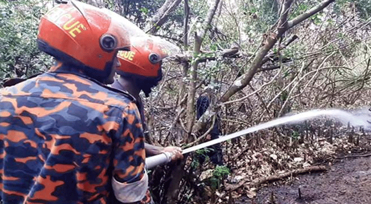 সুন্দরবনে আগুন নিয়ন্ত্রণে হিমশিম খাচ্ছে বনবিভাগ