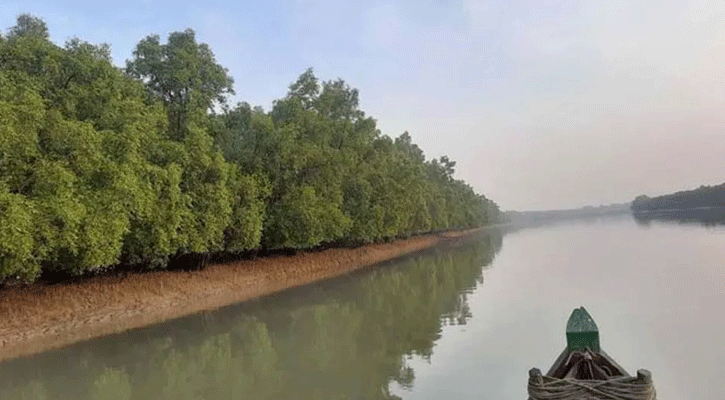 সুন্দরবনে অপহৃত ৬ নারী জেলেসহ ৩৩ জনকে উদ্ধার