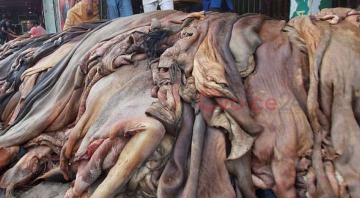 চামড়া নিয়ে হতাশা