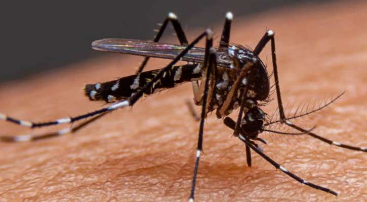 ডেঙ্গুতে আরো একজনের মৃত্যু, নতুন ভর্তি ২৬২ 