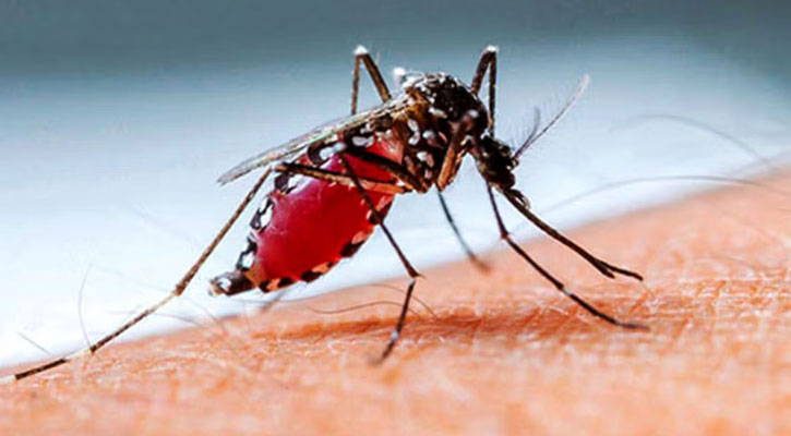 ডেঙ্গুতে মৃত্যু একশ ছাড়ালো 