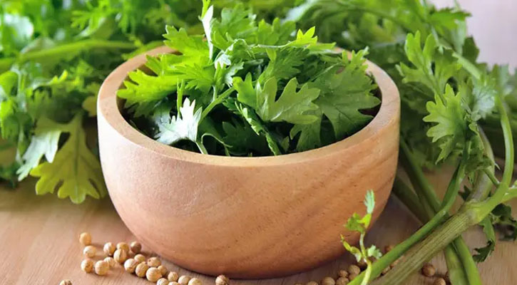ধনিয়া পাতা খাওয়া কি স্বাস্থ্যের জন্য ভালো?