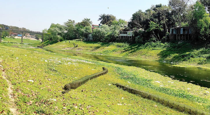 চায়না জালে দেশি মাছ বিলুপ্ত হবার সম্ভবনা