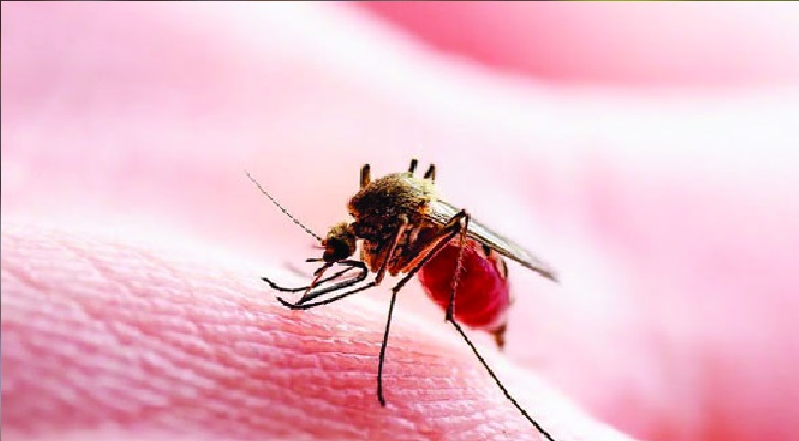 চলতি বছর ডেঙ্গুতে মৃত্যু ১৬২৯  