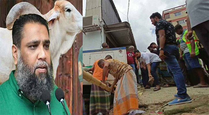 উচ্ছেদের আগে উধাও বংশীয় গরু!