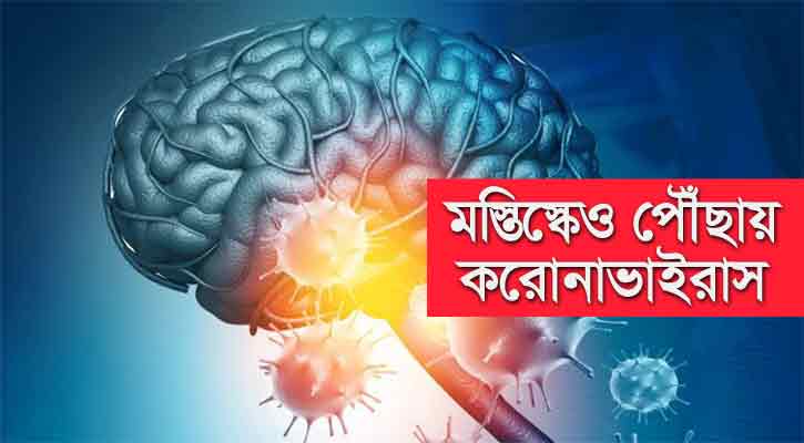করোনাভাইরাস নিয়ে নতুন তথ্য, যা জানা জরুরি