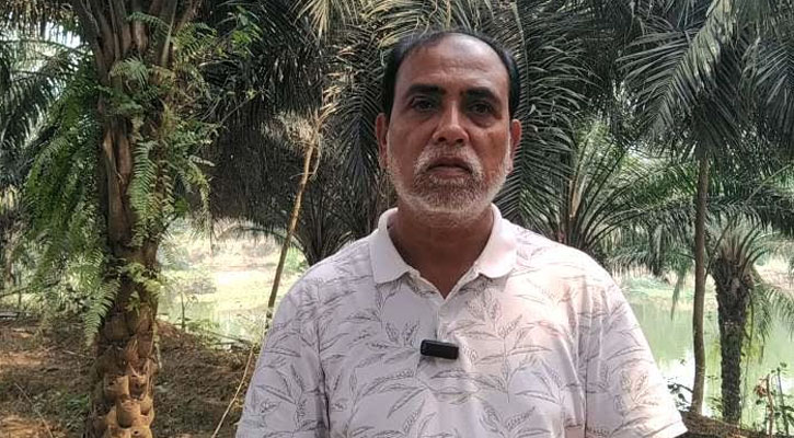 ভালুকায় পাম বাগানে আনোয়ারের সফলতা  