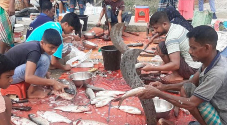 হাট-বাজারে হাঁটু মেরে মাছ কেটেই সচ্ছল শহীদ  