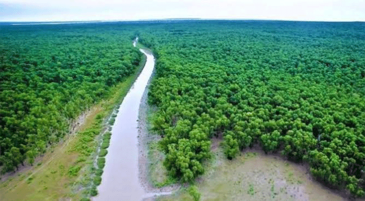 এবারও বুক পেতে দিল সুন্দরবন