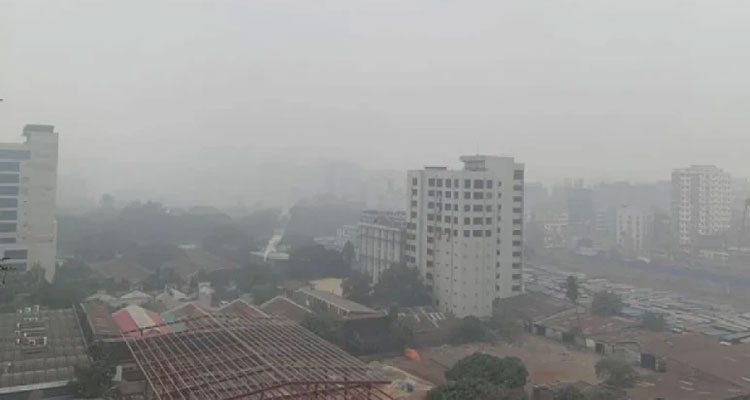 কবে থেকে শীত বাড়বে, জানাল আবহাওয়া অধিদপ্তর