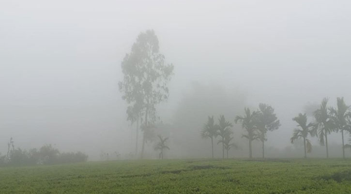 শীত নিয়ে নতুন বার্তা
