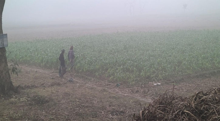 দেশের ১০ জেলায় শৈত্যপ্রবাহ, থাকবে যতদিন