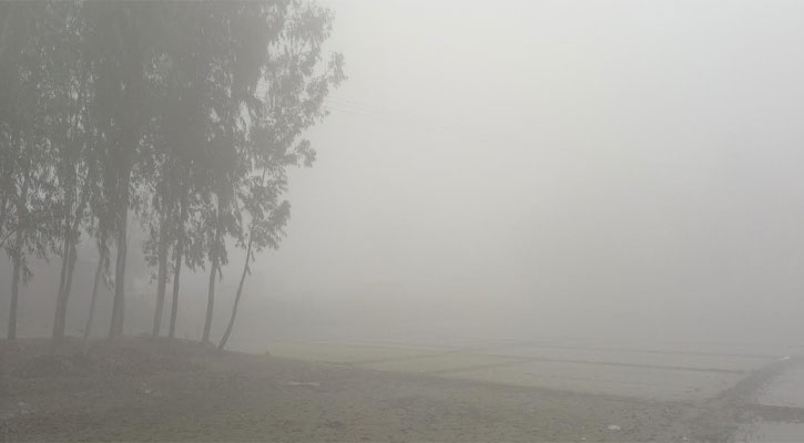 শীতের মধ্যেই সাগরে লঘুচাপ,  শৈত্যপ্রবাহ নিয়ে নতুন বার্তা