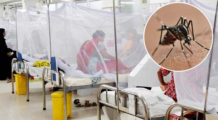 ২৪ ঘন্টায় বছরের সর্বোচ্চ ডেঙ্গু রোগী হাসপাতালে