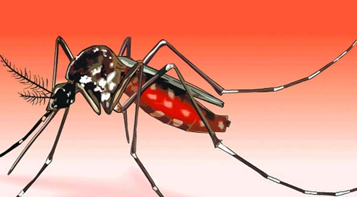 ডেঙ্গুতে আরও ১৮ জনের মৃত্যু, হাসপাতালে ২৪৮০