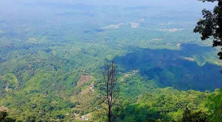 Mushukni yalayotgan ayol surati Moskvada qo‘limni siltab olaman