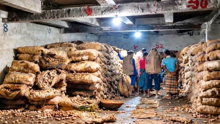বেশি লাভের আশায় হিমাগারে আলু, পচলো ৩০ হাজার মণ