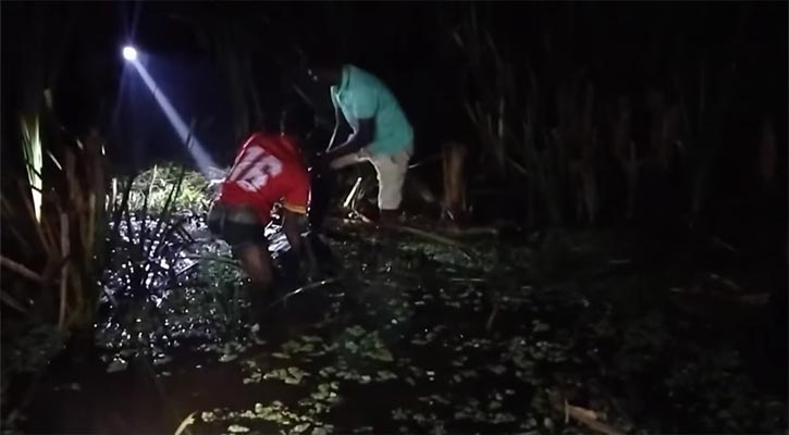 গোলপাতার ক্ষেতে মিলল বৃদ্ধের রক্তাক্ত মরদেহ