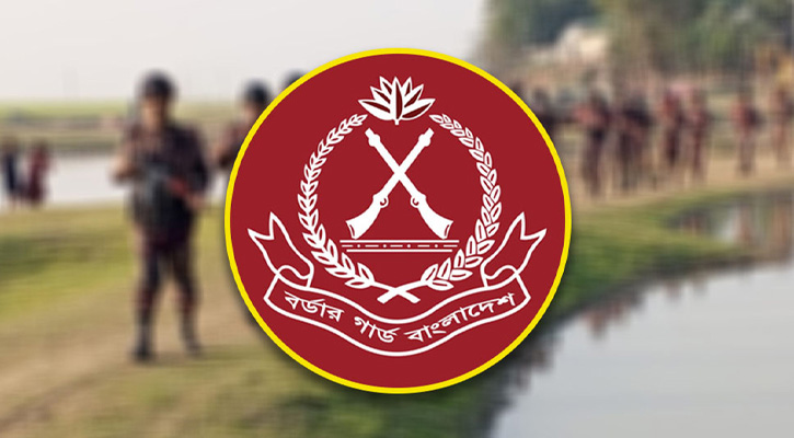 বিজিবিতে ২ হাজার ২৫৮টি নতুন পদ সৃষ্টি