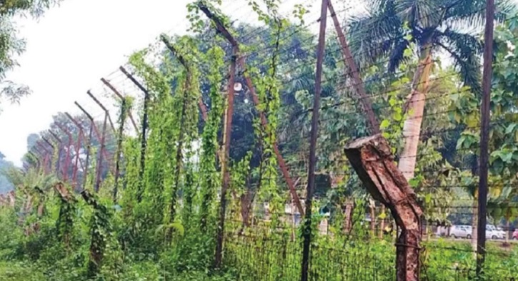 সীমান্তে বিএসএফের গুলিতে দুই বাংলাদেশি নিহত