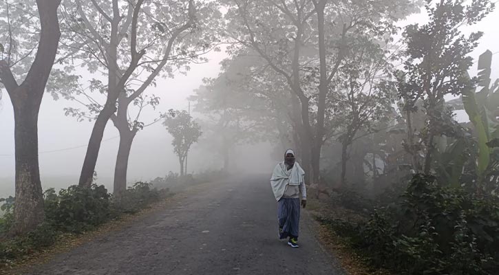 টানা দুই সপ্তাহ চুয়াডাঙ্গায় শৈত্যপ্রবাহ অব্যাহত