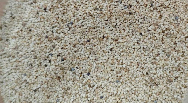 খাদ্যের আড়ালে পাকিস্তান থেকে এলো ২৫ হাজার কেজি মাদক