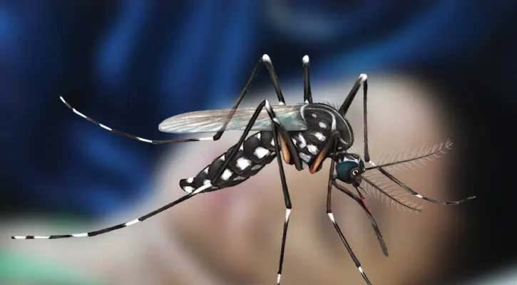 ডেঙ্গুতে মৃত্যু সাড়ে ৯০০ ছাড়ালো