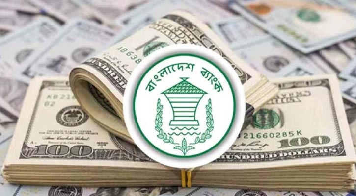 ২৮ দিনে রেমিট্যান্স এলো ৩৩৩ কোটি ডলার, নতুন ইতিহাস