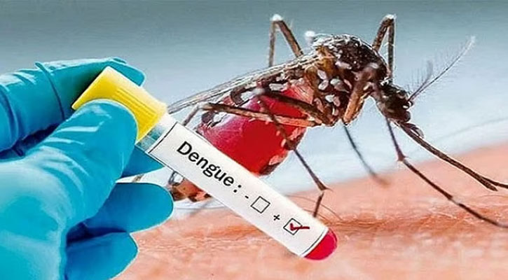 সপ্তাহজুড়ে ডেঙ্গুতে মৃত্যু-আক্রান্ত সবই বেড়েছে
