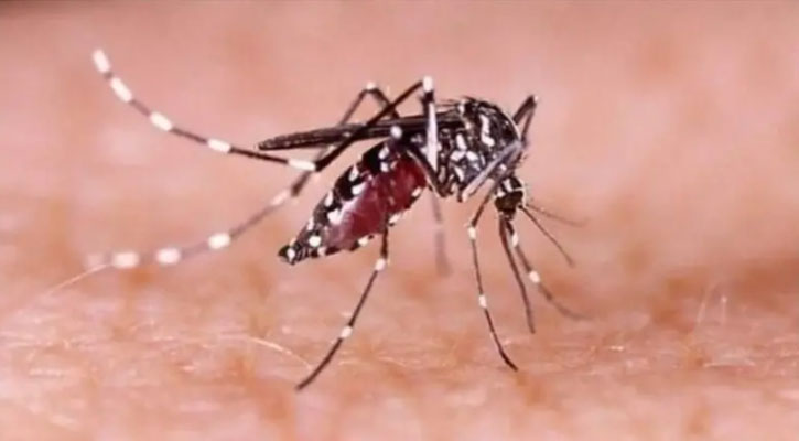 ডেঙ্গুতে আরও একজনের মৃত্যু, শনাক্ত ১৩৯