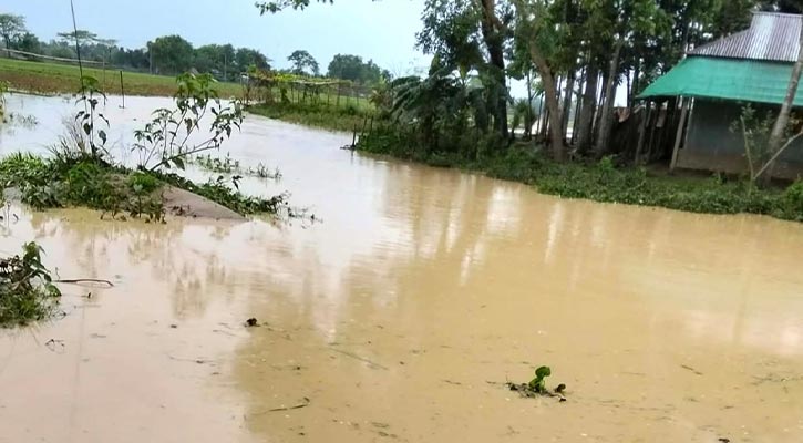 টানাবৃষ্টি-পাহাড়ি ঢলে ৬ গ্রাম প্লাবিত, ডুবে গেছে ফসলি জমি